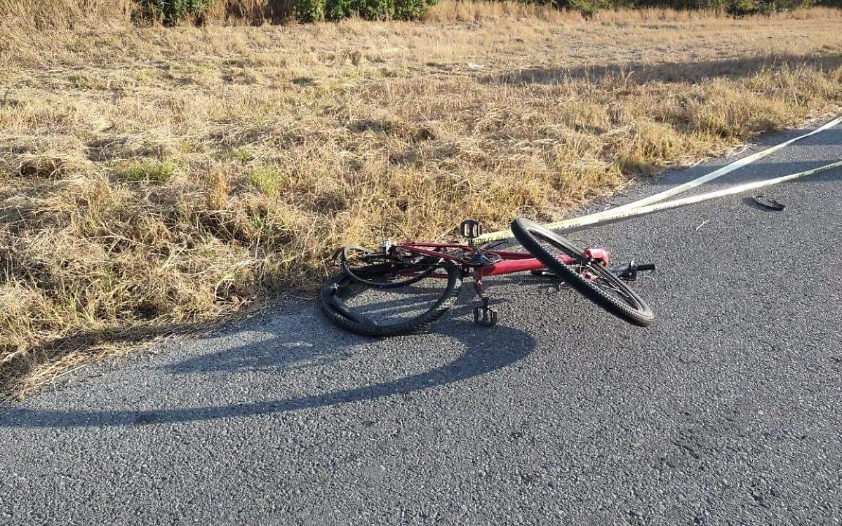 WhatsApp Image 2021-01-13 at 10.49.21