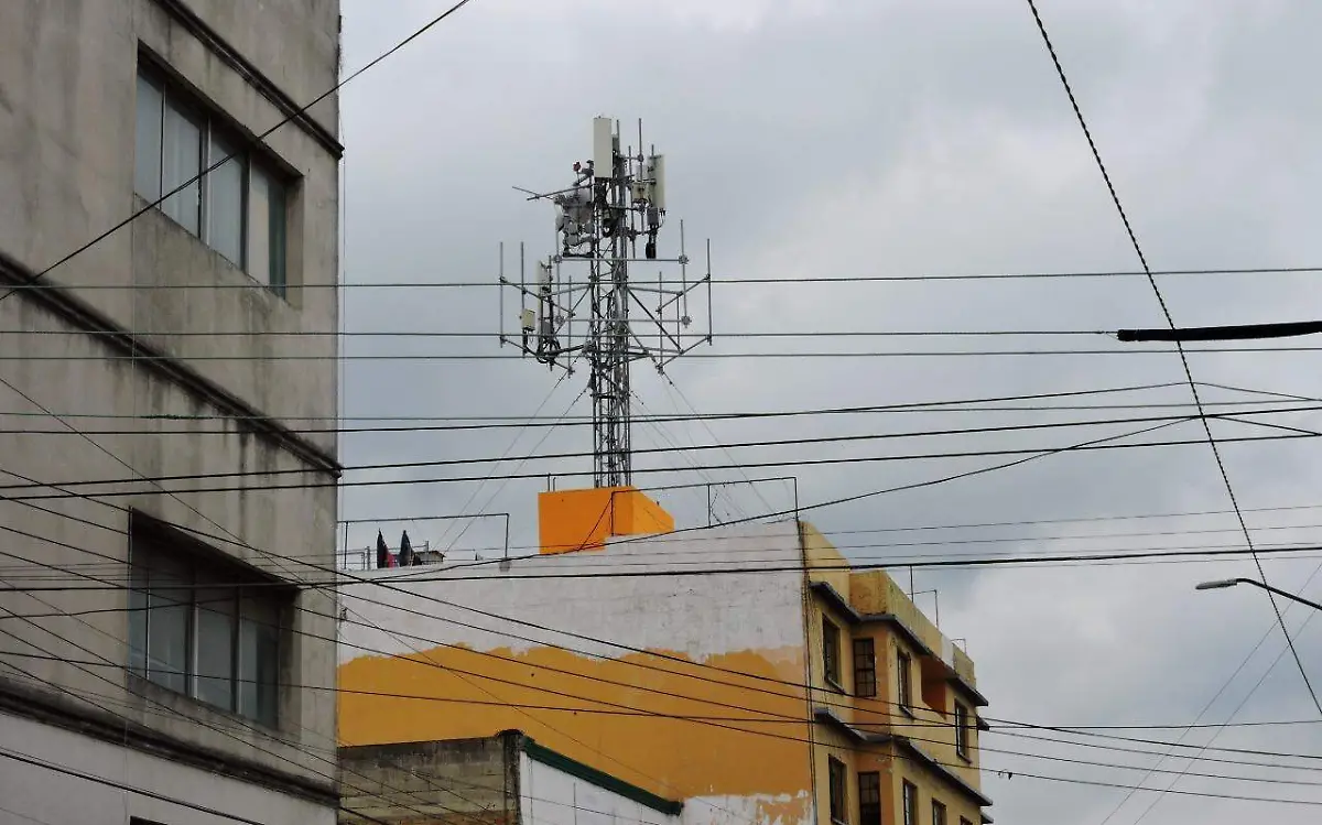 WhatsApp Image 2021-07-01 at 9.29.21 AM