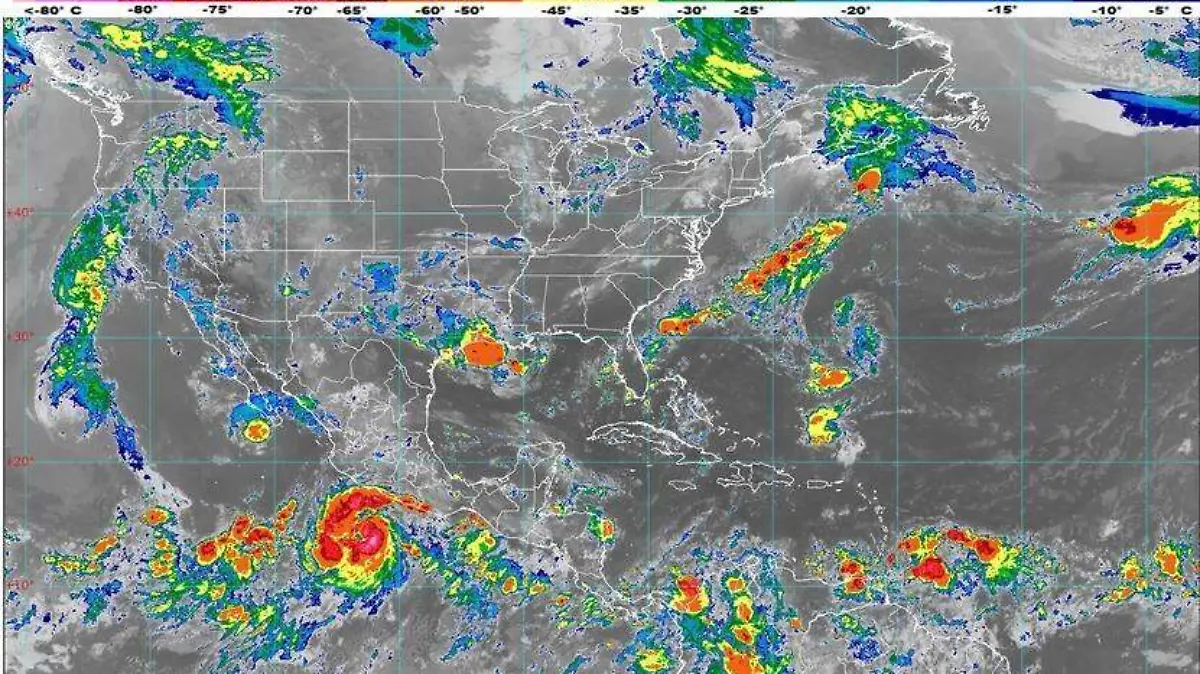 WhatsApp Image 2020-08-17 at 9.26.19 AM