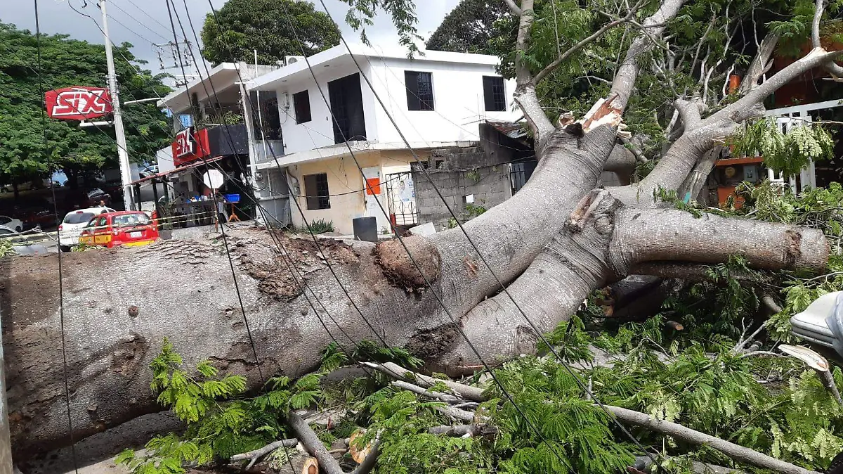 WhatsApp Image 2021-07-11 at 11.59.44 AM