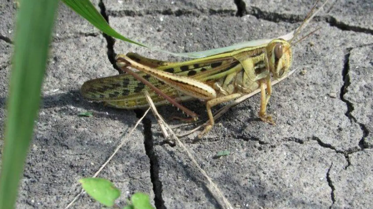 WhatsApp Image 2020-09-02 at 9.48.47 AM