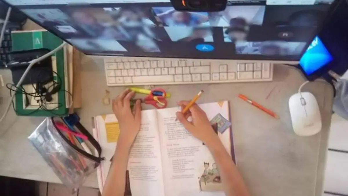 CLASES EN LÍNEA