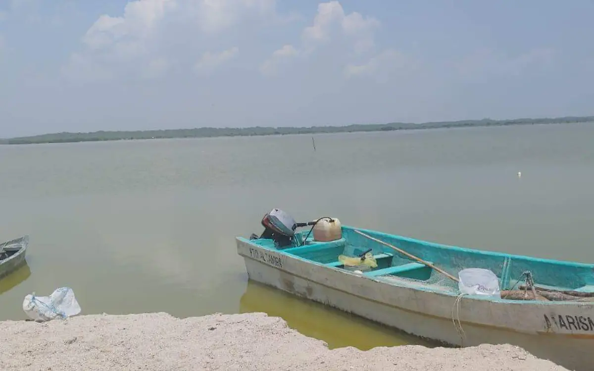 WhatsApp Image 2020-08-17 at 10.26.14 AM