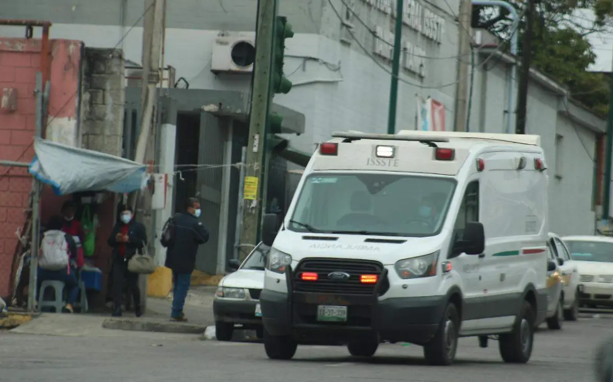 WhatsApp Image 2021-02-20 at 15.06.11