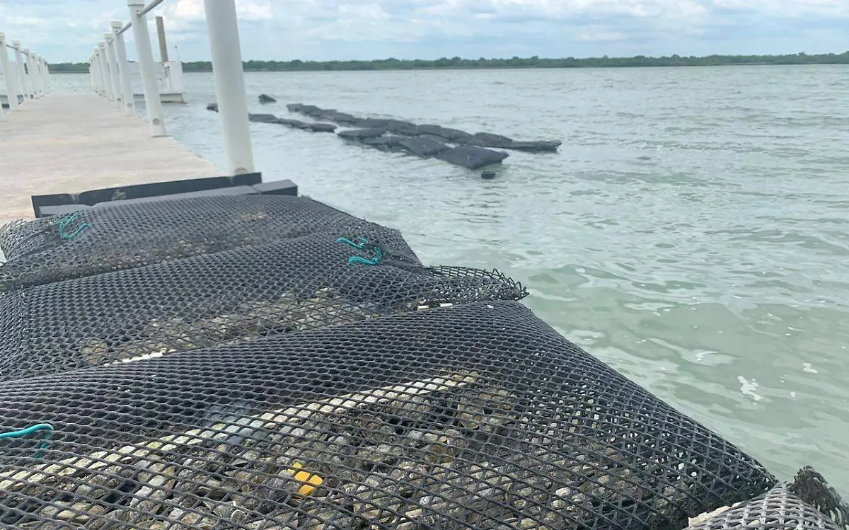 WhatsApp Image 2020-10-08 at 11.50.19