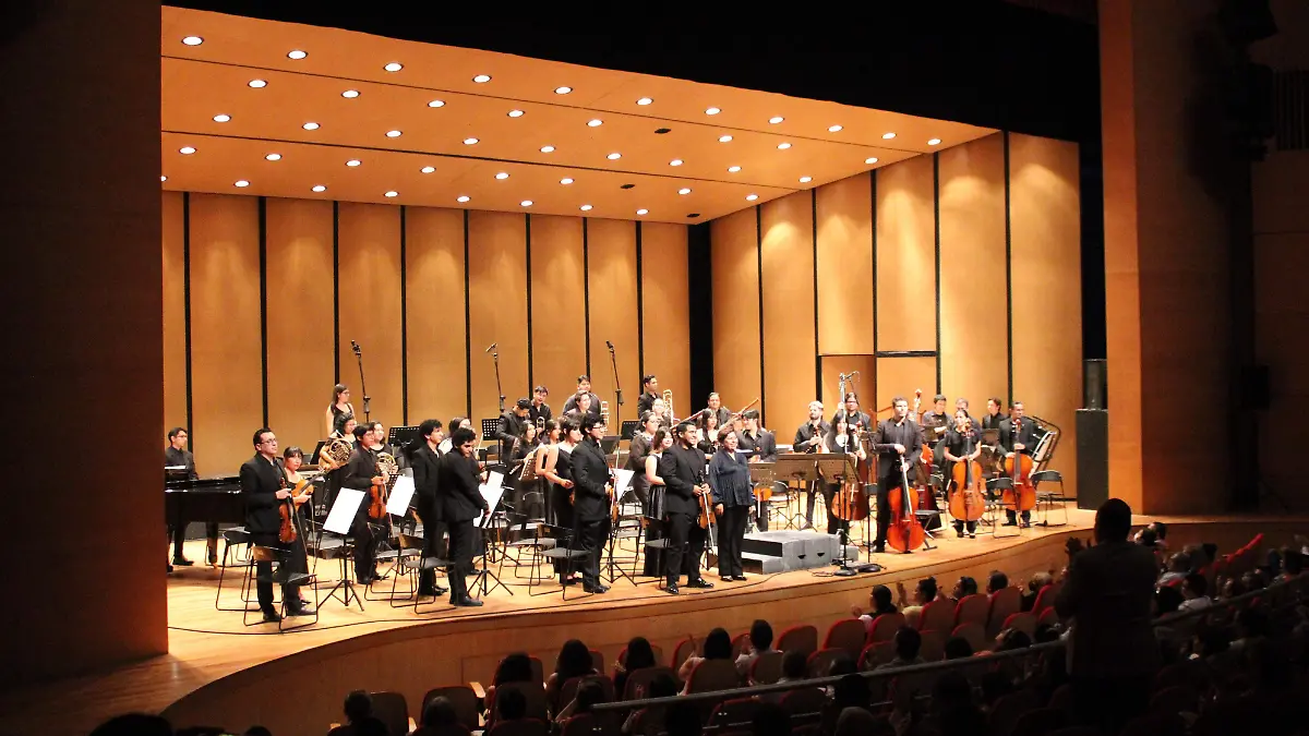 dirección de orquesta (5)