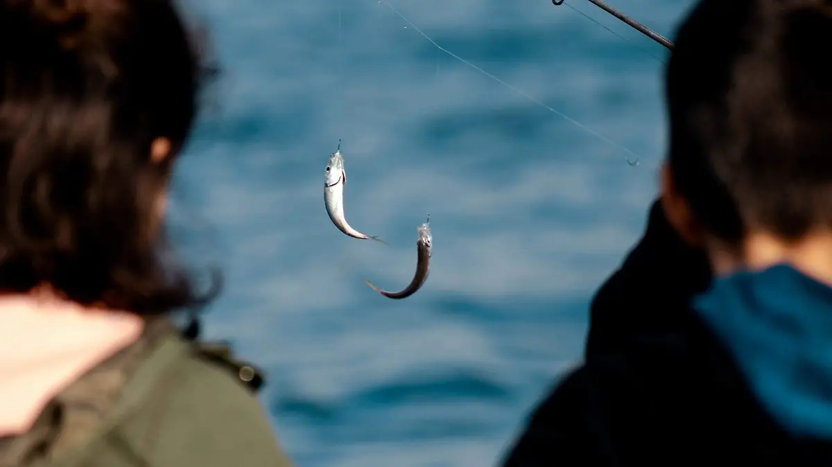 Ciudad Madero organiza torneo de pesca para niños, ¿cómo participar?