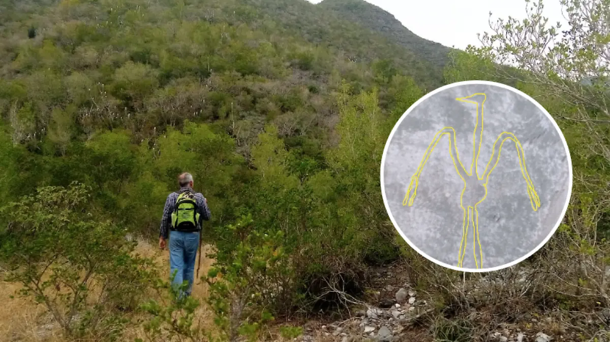 ¿Aves gigantes? Encuentran misteriosos grabados en Tamaulipas
