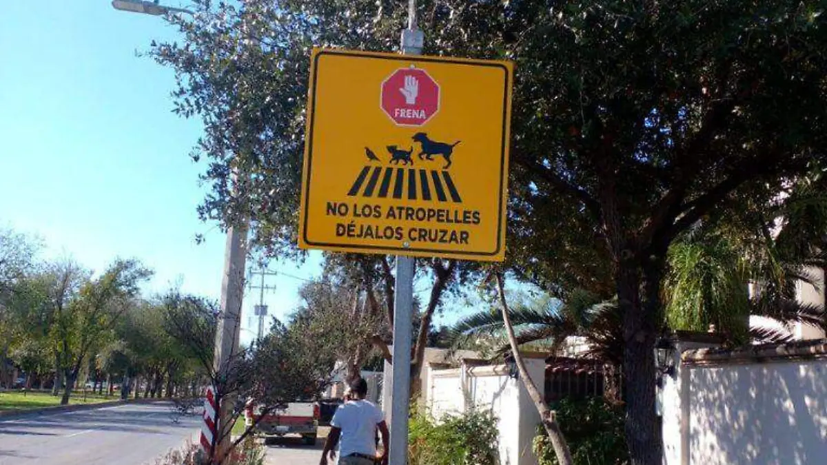 "No los atropelles" en Tamaulipas colocan señalamientos de paso de animalitos