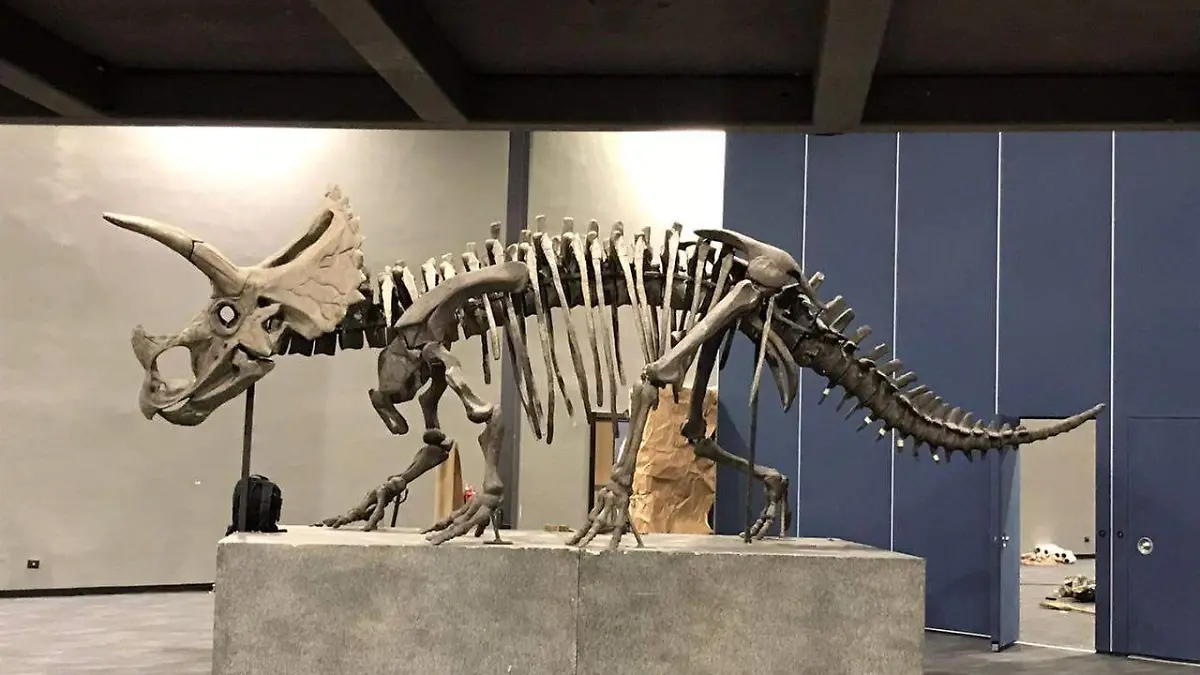 ¿Tierra de Dinosaurios llegará a Tampico? Esto es lo que sabemos