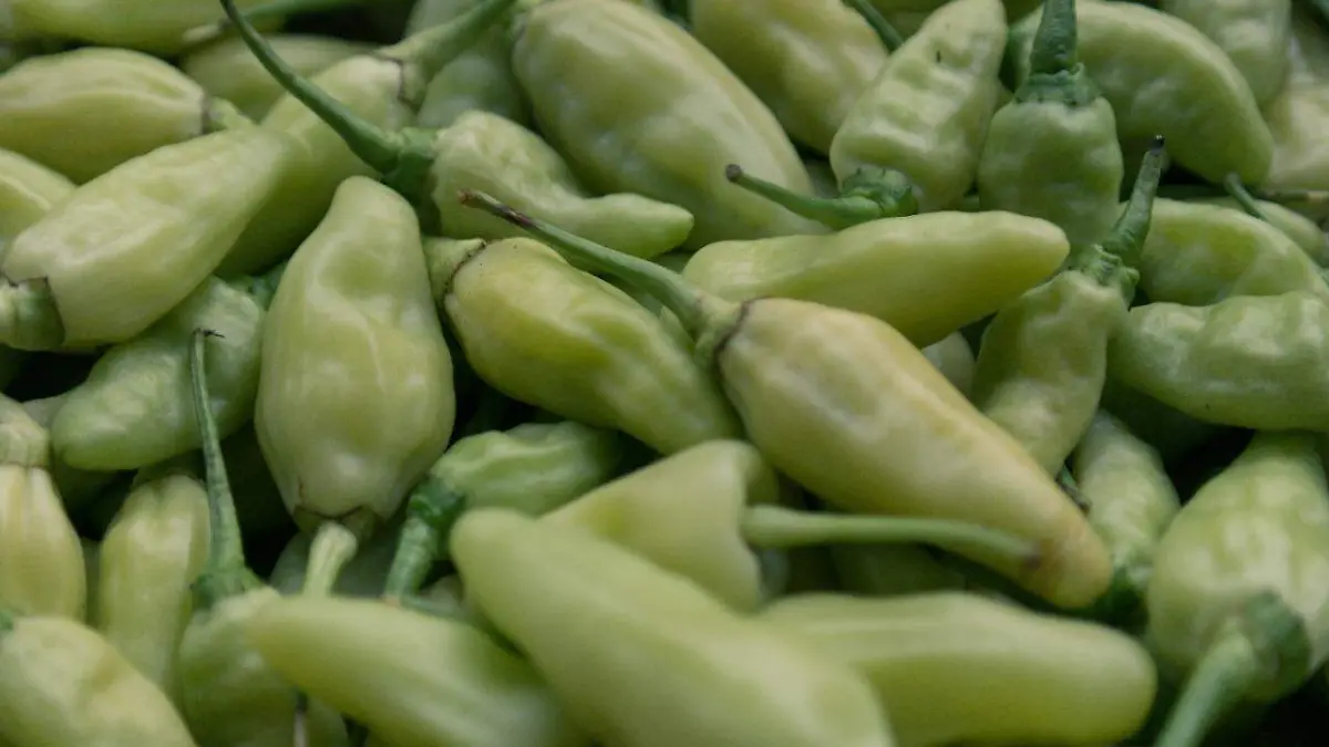¿Cómo se mide el picor del chile? Esta es la escala Scoville