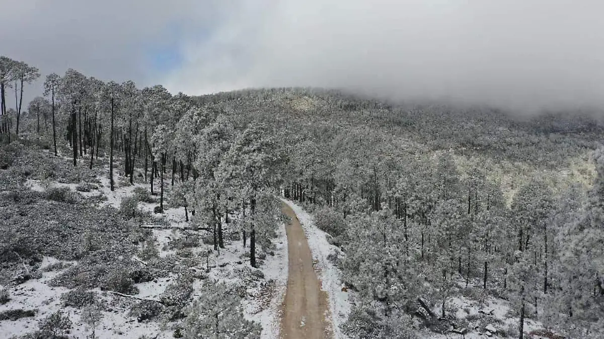 Pronostican caída de nieve esta semana en un municipio de Tamaulipas