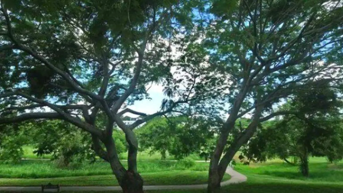 Sitios para salir a tomar el aire en Tampico conoce los principales parques de la ciudad portueña