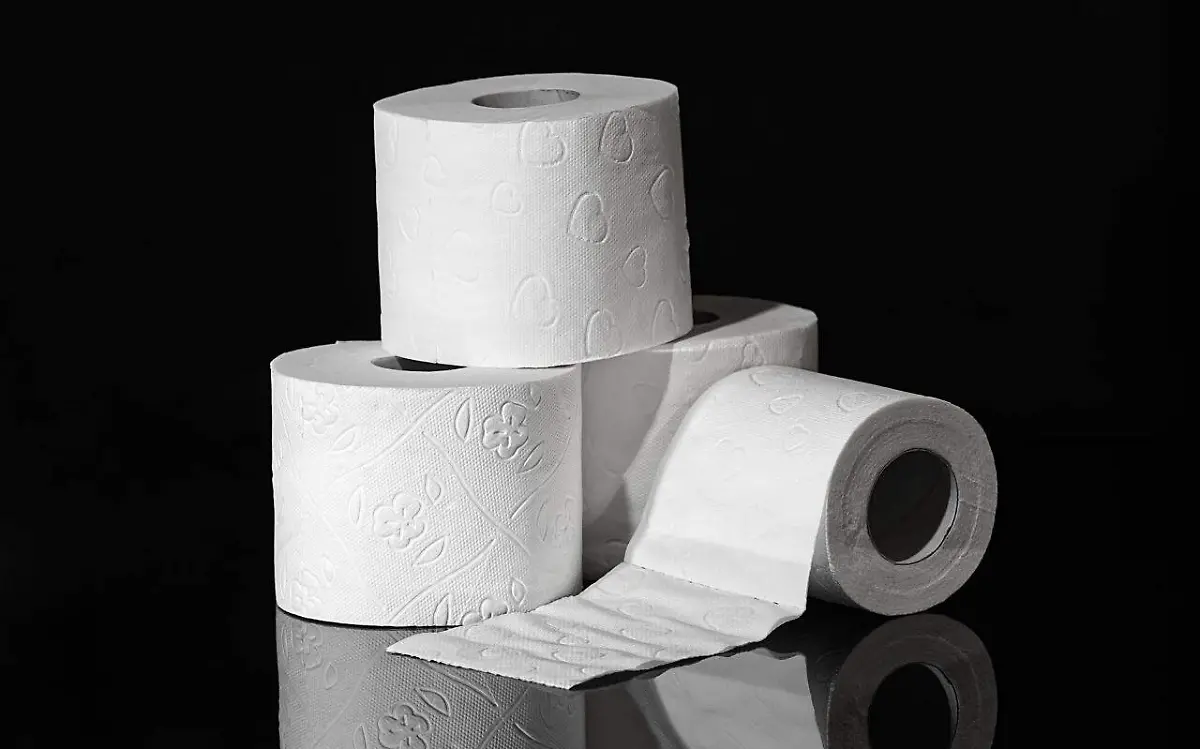 ¿Cuál es el mejor papel higiénico? Conoce los 5 mejores