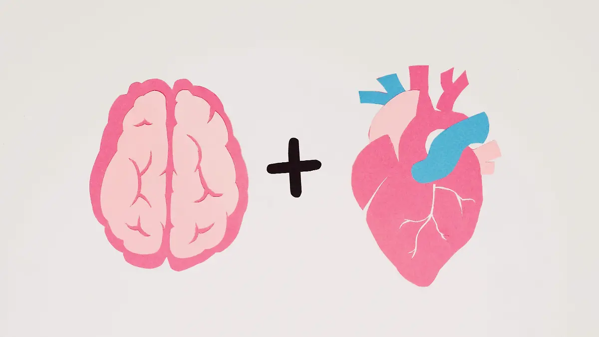 ¿Qué le pasa a nuestro cerebro cuando nos enamoramos? Esto dice la Universidad de Harvard