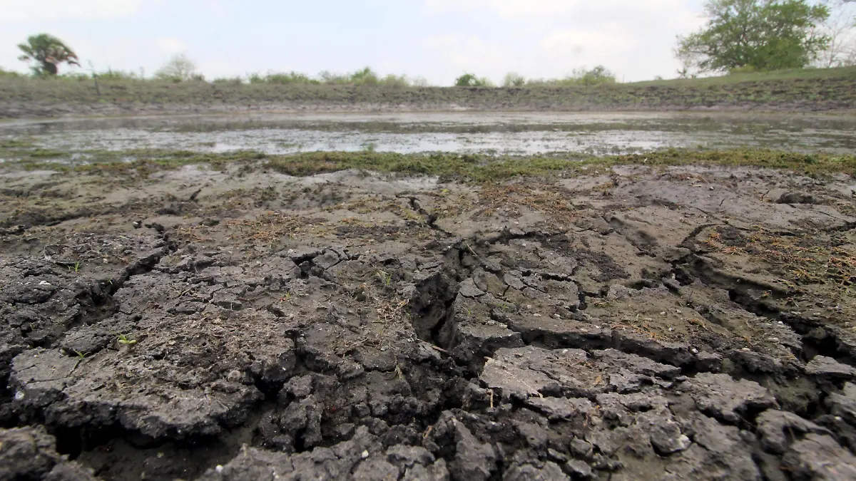 El verano está a punto de acabar y casi no llovió en Tamaulipas, ¿esto qué significa?