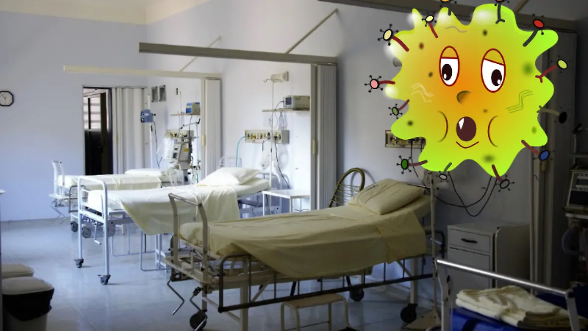 ¿Qué es la meningitis fúngica y cómo se contagia? Puede causar la muerte