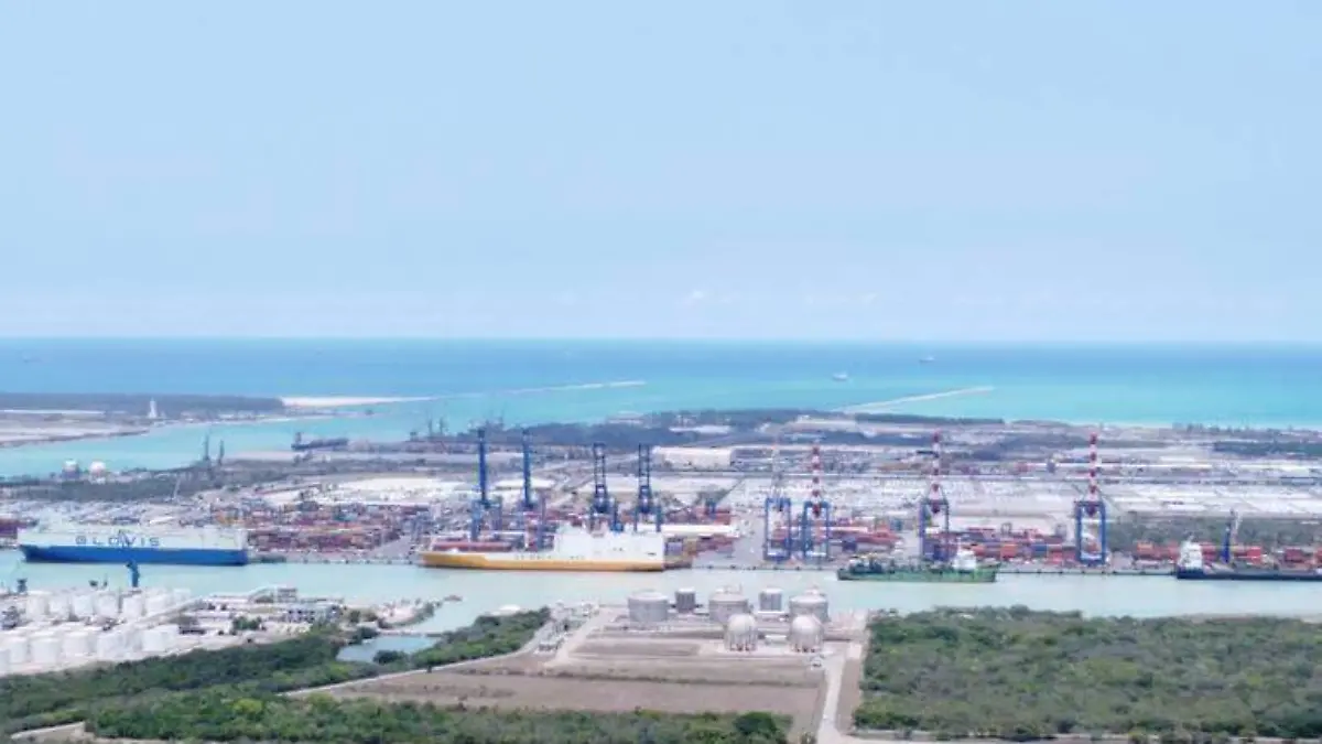 Puerto de Altamira queda _chico_ para dar servicio a Tesla