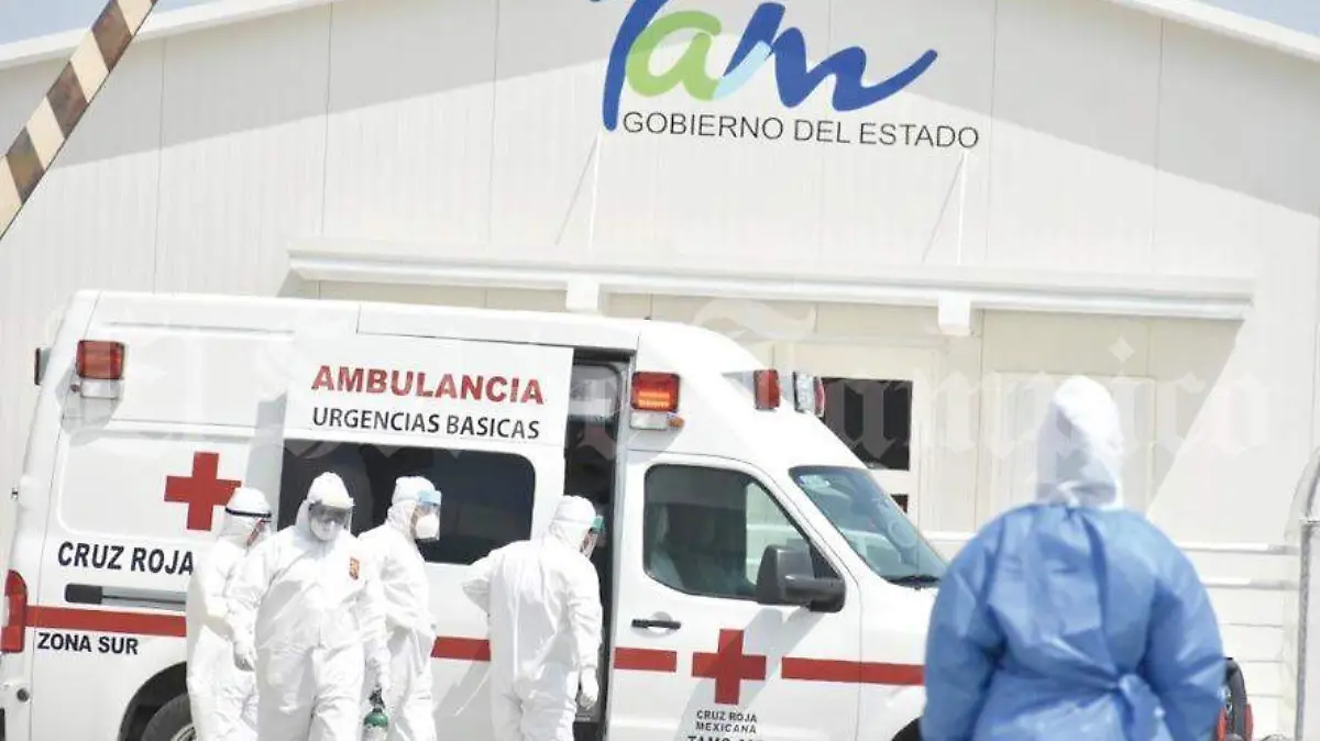 WhatsApp Image 2020-07-08 at 19.33.35