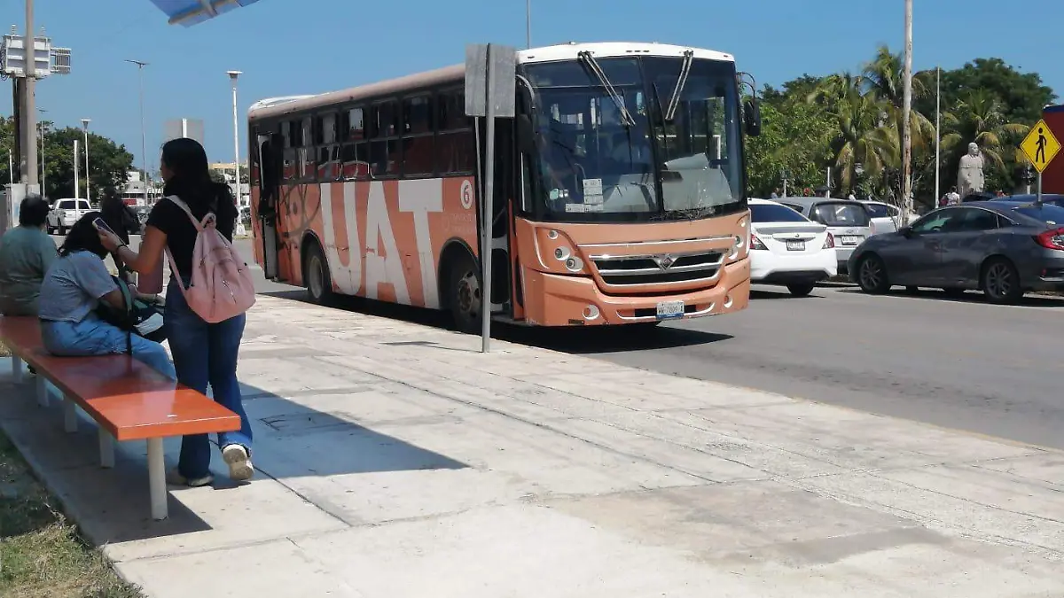 El autobús gratuito de la UAT