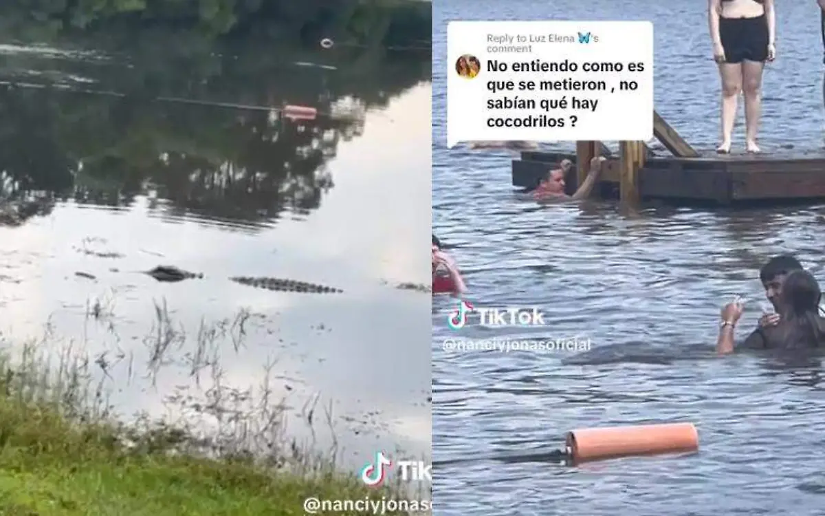 Ellos se metieron a nadar a este lago de Texas sin pensar en el riesgo que existía al haber cocodrilos Captura de pantalla TikTok