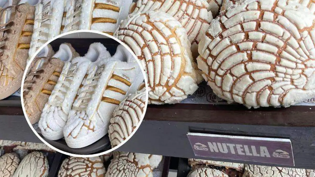 ¡Llegaron los tenis de concha a Tampico! Te decimos dónde conseguirlos