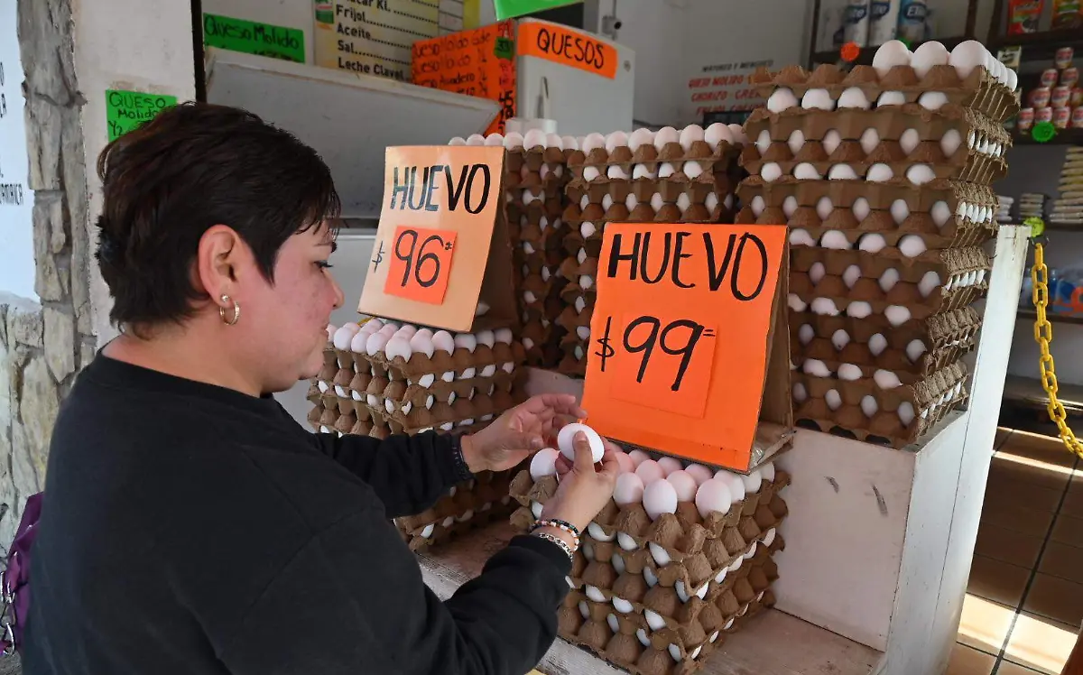 Continúa en aumento el huevo
