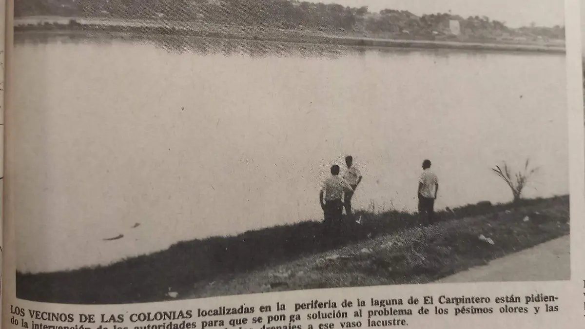 Tampico y el grave problema de basura en 1979, "un espectáculo repugnante" [Fotos]1