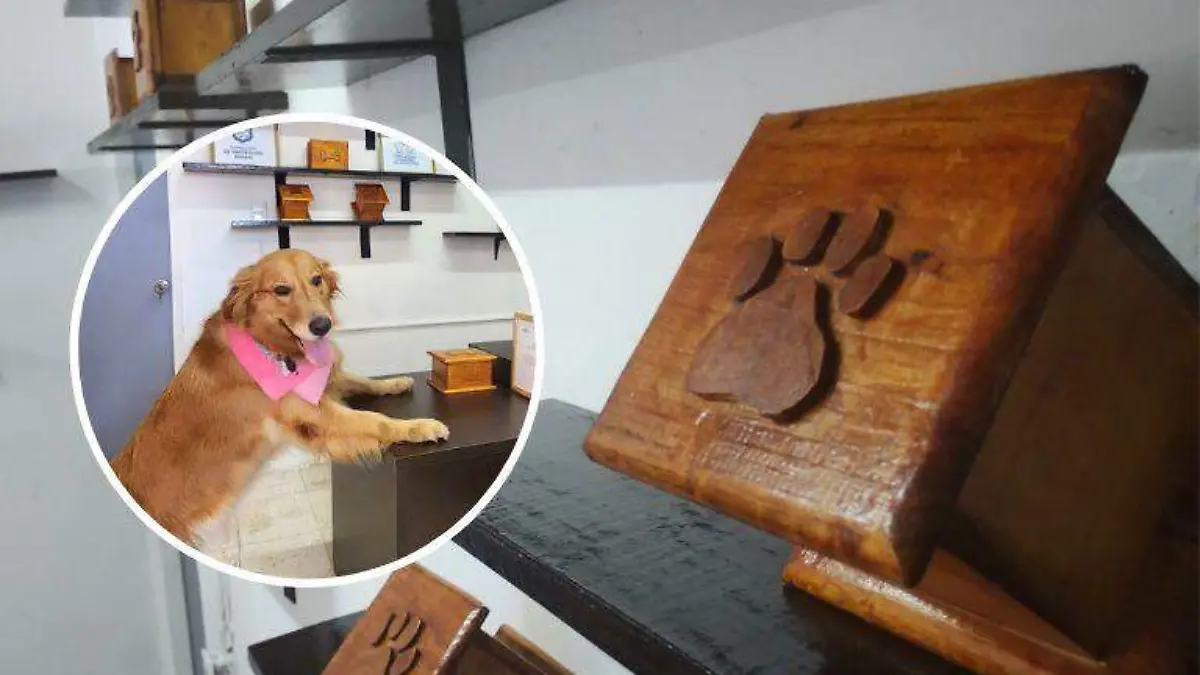 Crematorio para mascotas en Tampico ya está operando