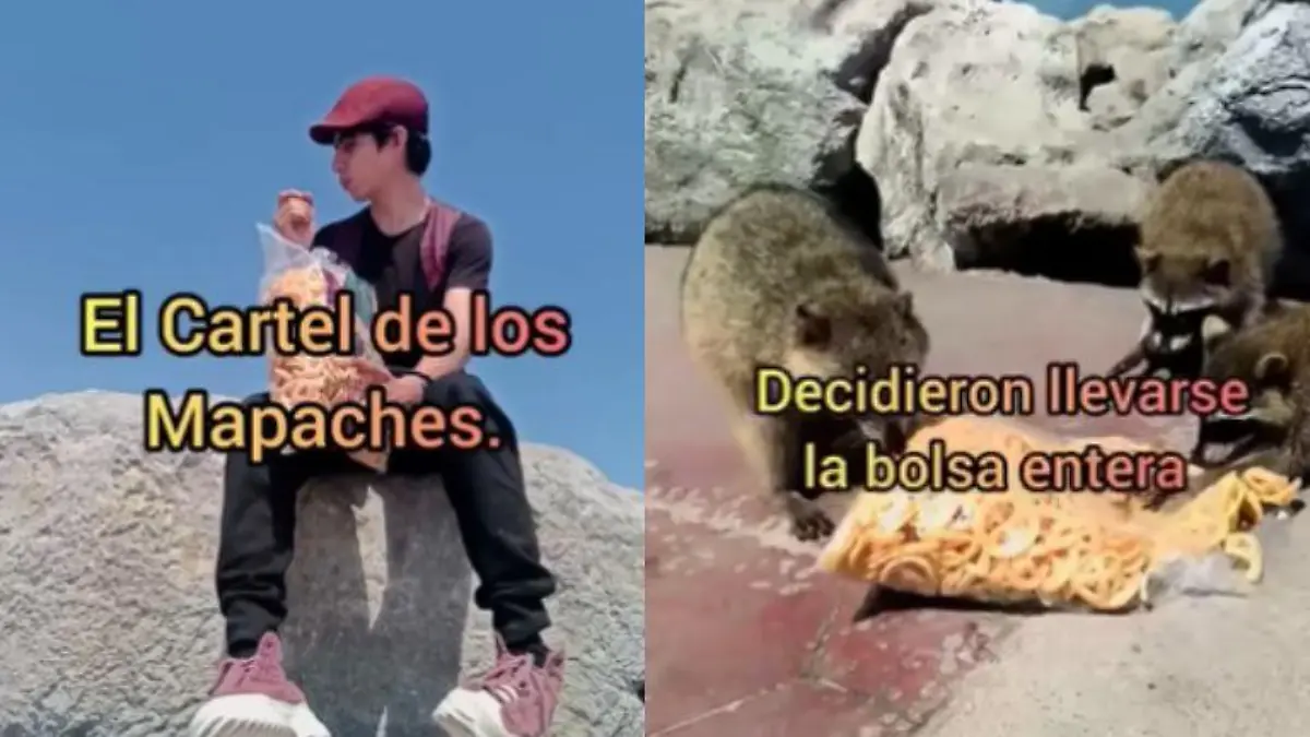 Fotografía de principal CUE (39)