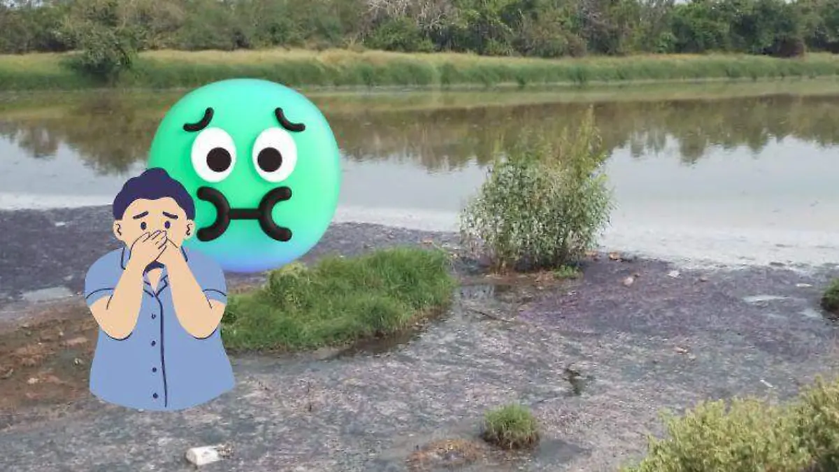 Olor de una fétida laguna enferma a vecinos en Ciudad Madero,   tienen vómito y hasta diarrea