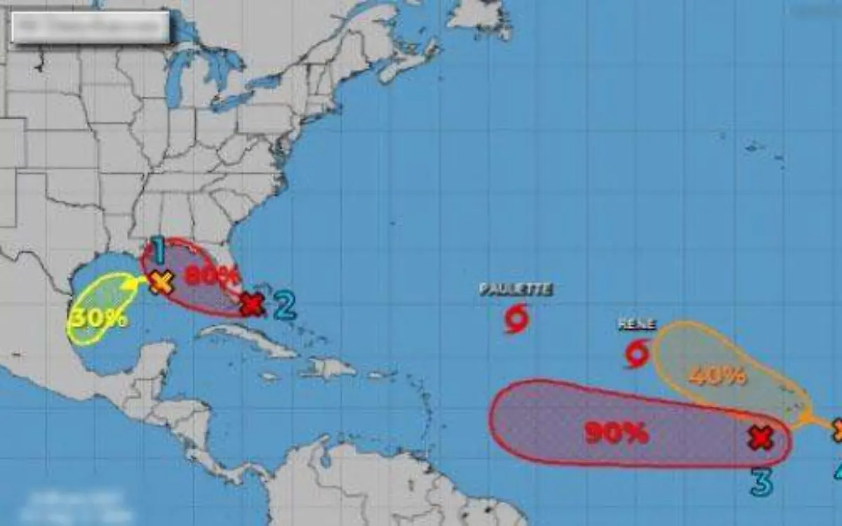 WhatsApp Image 2020-09-11 at 15.05.44