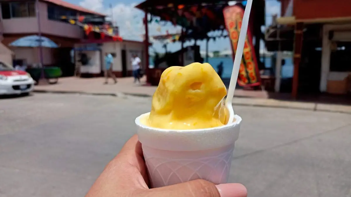 Sabor del jobito en agua, paletas y nieve sorprende a turistas