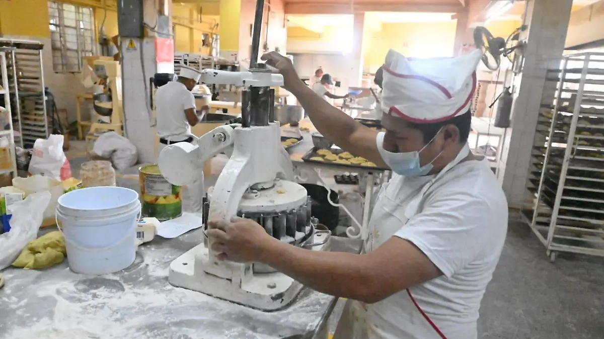 ¿Buscas trabajo? Cecati 24 realizará feria del empleofecha y horario