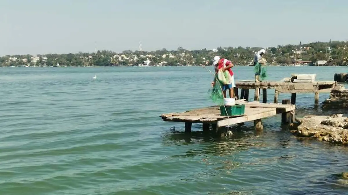 Pescadores en Tamaulipas registran pérdidas por fallas de CFE