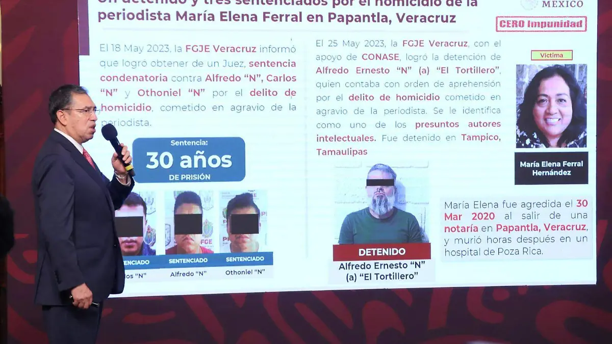 Capturan en Tampico a presunto asesino de la periodista María Elena Ferral 