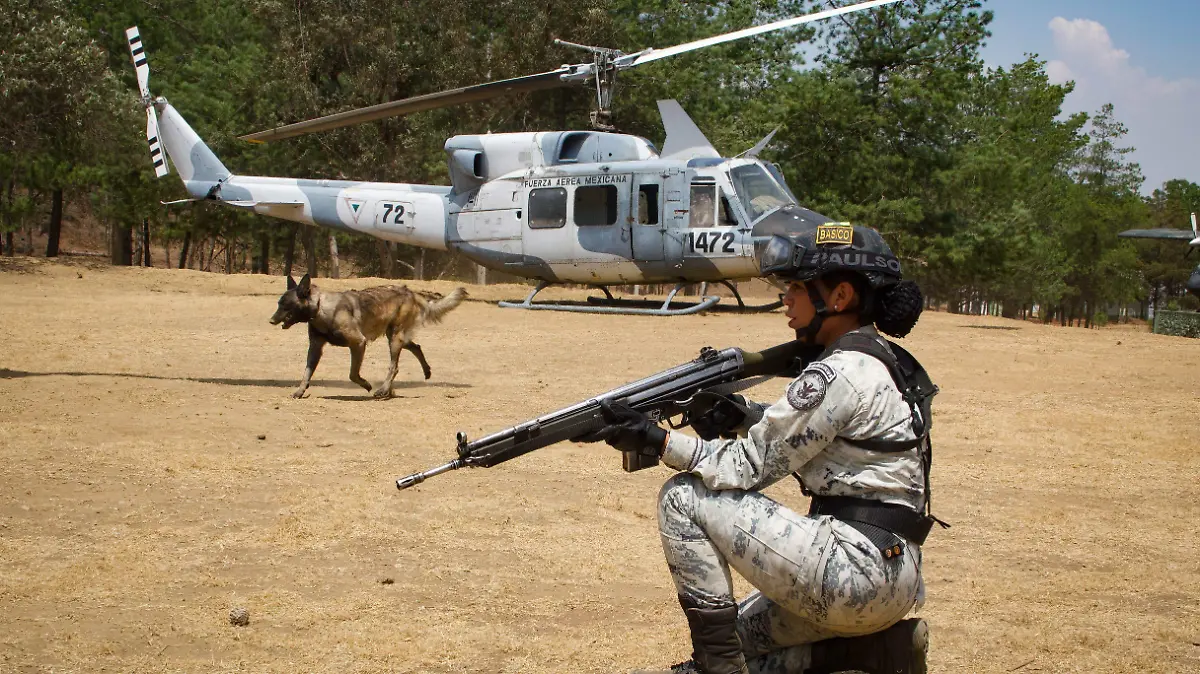 926138_Entrenamiento fuerzas especiales GN-11_impreso