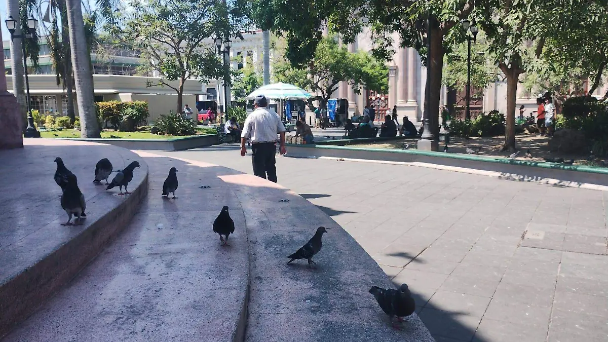 A Imelda le arrebataron la vida en Tampico, su caso aún no es reconocido como feminicidio   