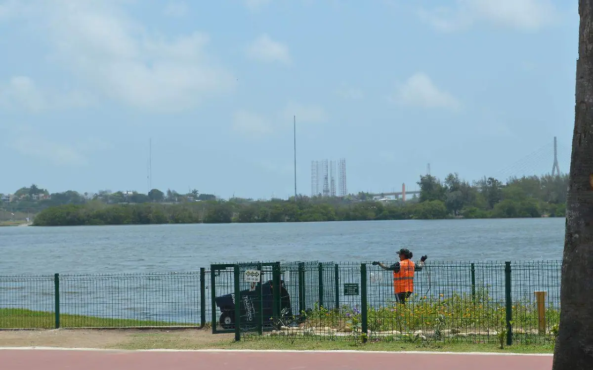 Se va el ambiente fresco, prevén máximas de hasta 35 grados en Tamaulipas