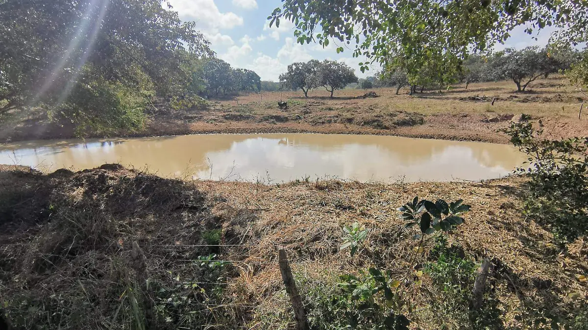 Presas y ollas de agua no son opción contra la sequía5