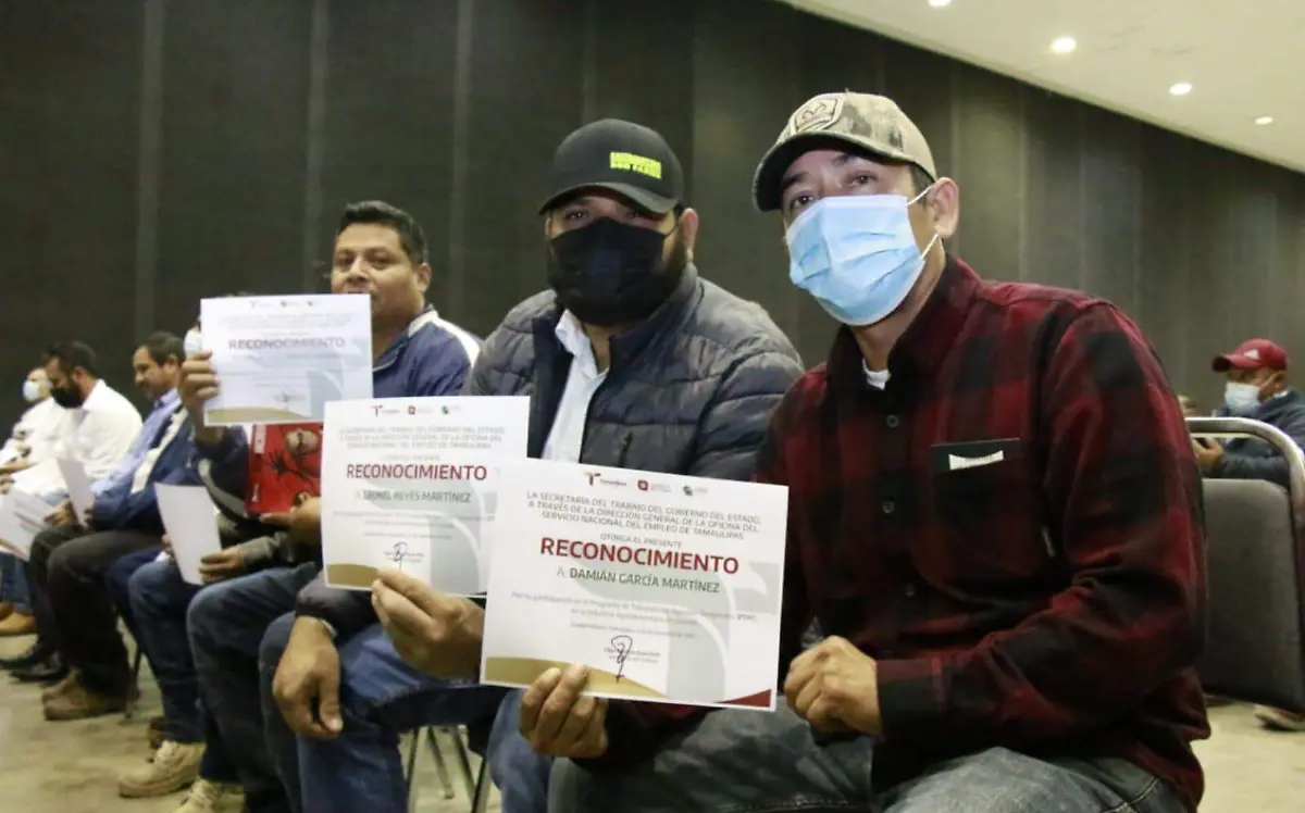 Vuelven de Canadá 330 trabajadores agrícolas tamaulipecos 