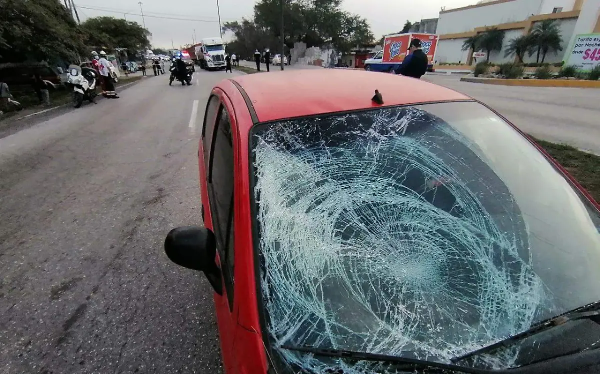 Muere abuelito atropellado en Tampico 