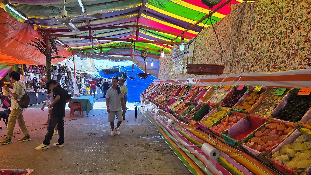 Fiestas Patronales de Tampico Alto 2025