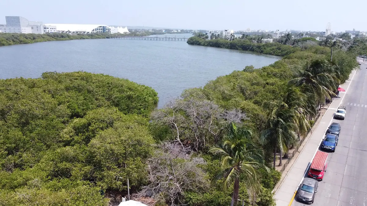 Humedales sur Tamaulipas