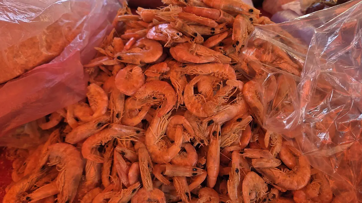 Una tradición desde hace más de 45 años