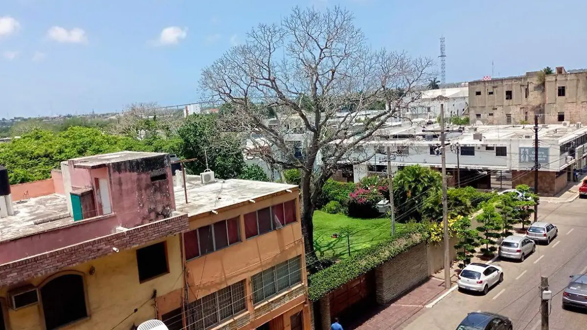 Buscan mantener un mayor control ambiental en el desarrollo urbano