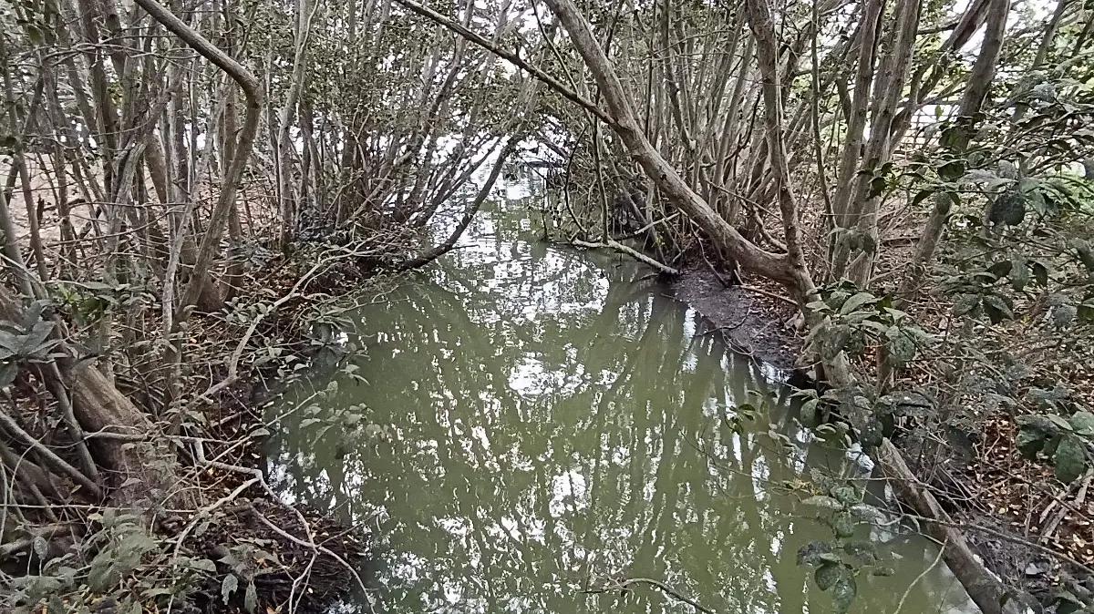 El ecosistema sigue sufriendo por la mano del hombre