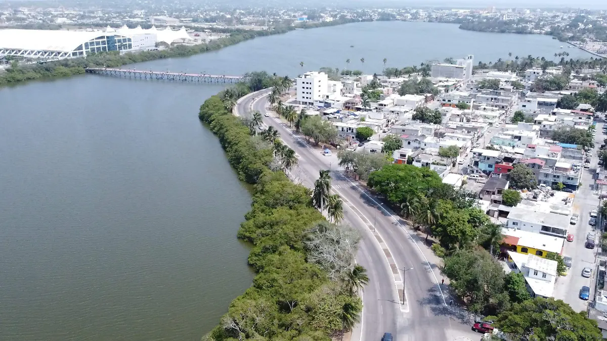 La laguna del Carpintero de Tampico, conserva una de las reservas de mangle más importante del sur