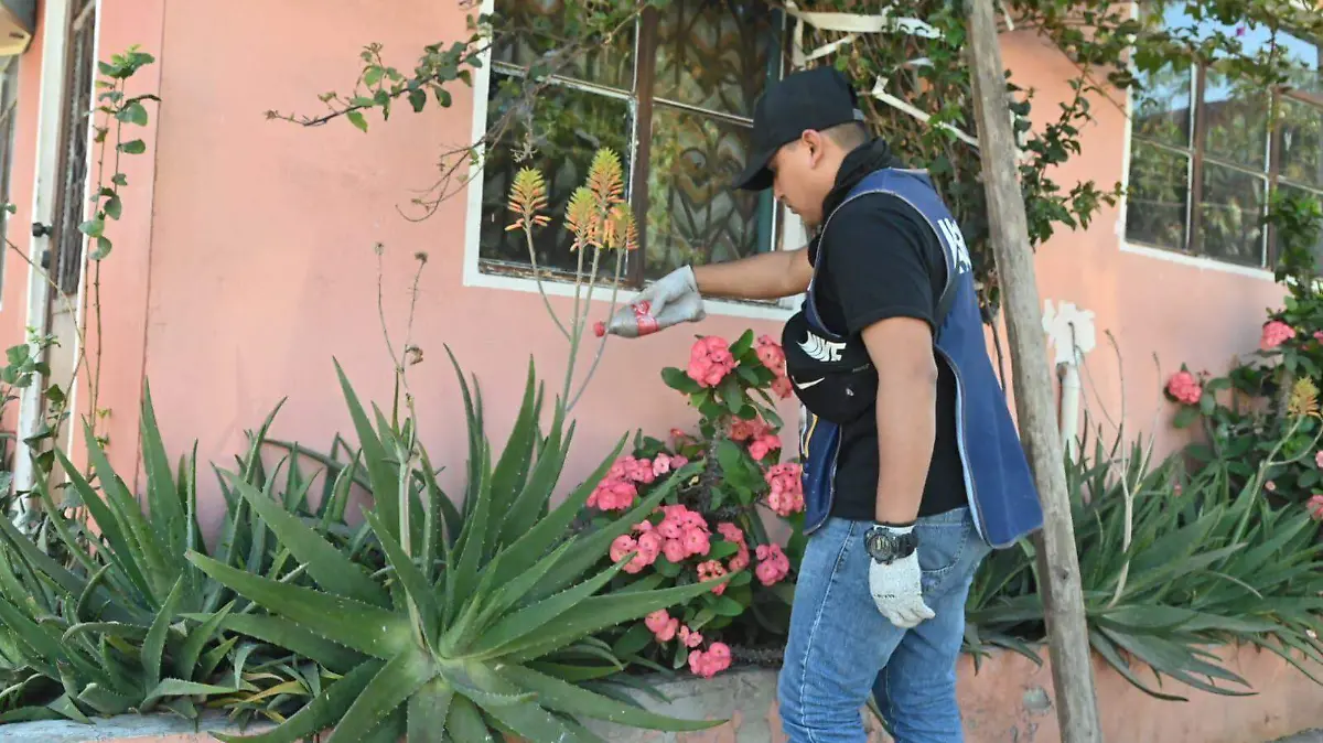 Tamaulipas se mantiene en alerta ante la alta incidencia de dengue