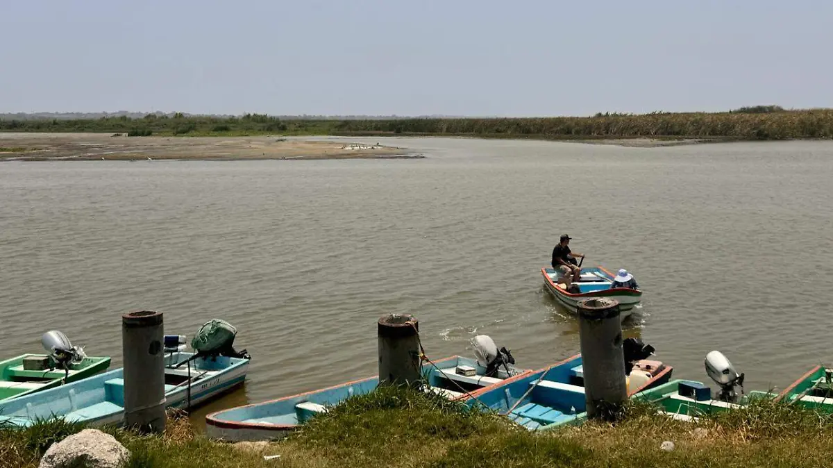 Tamaulipas captura ostion